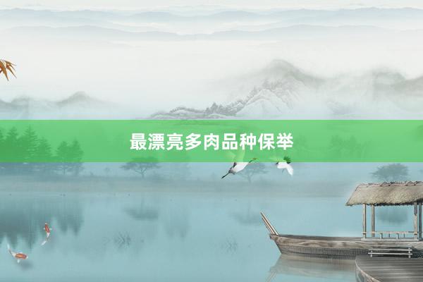 最漂亮多肉品种保举