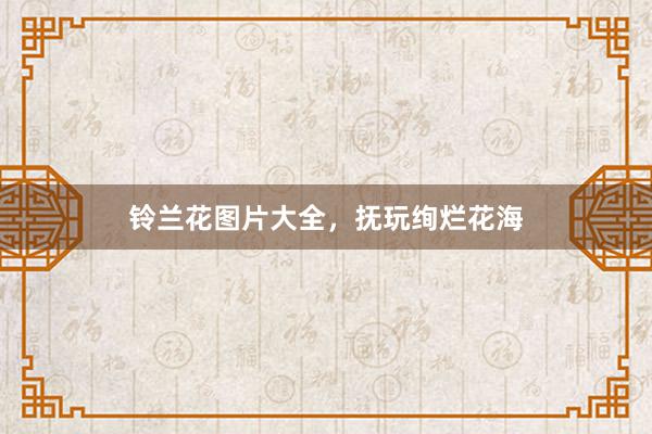铃兰花图片大全，抚玩绚烂花海